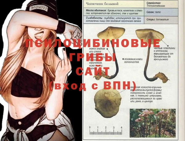 гашиш Алзамай