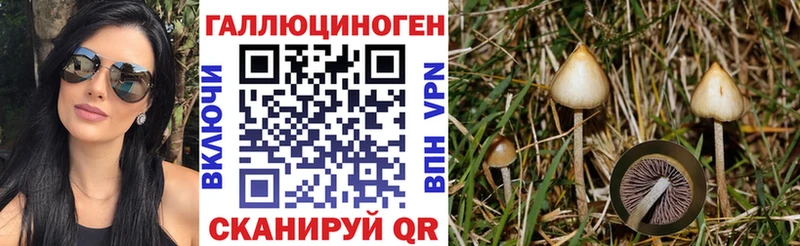 Галлюциногенные грибы мицелий  Сураж 